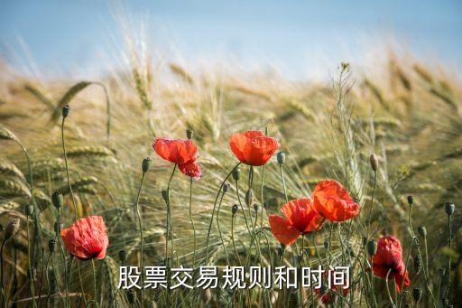 股票30分鐘買賣法,股票的關鍵點位買賣法