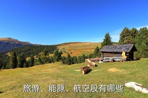 旅游、能源、航空股有哪些