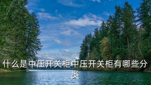 什么是中壓開(kāi)關(guān)柜中壓開(kāi)關(guān)柜有哪些分類(lèi)