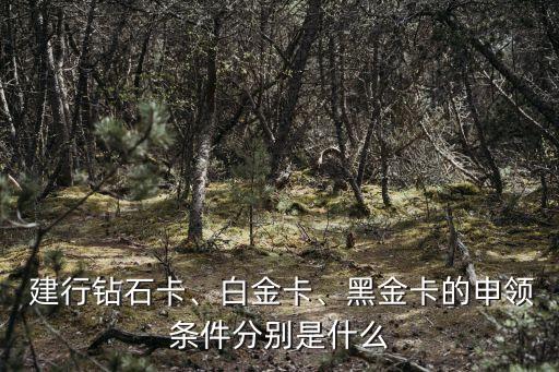  建行鉆石卡、白金卡、黑金卡的申領(lǐng)條件分別是什么