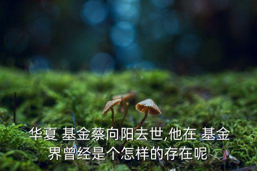  華夏 基金蔡向陽去世,他在 基金界曾經是個怎樣的存在呢