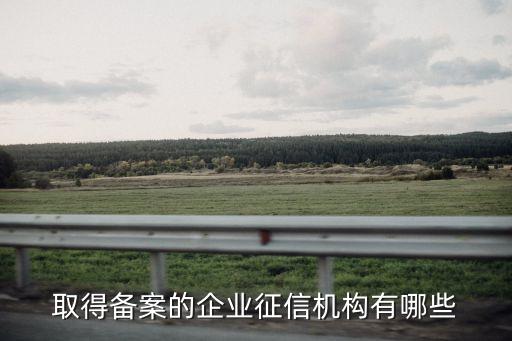 取得備案的企業(yè)征信機構有哪些