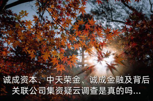 誠成資本、中天榮金、誠成金融及背后關(guān)聯(lián)公司集資疑云調(diào)查是真的嗎...