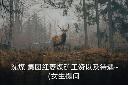 鞍山沈煤集團,沈煤集團最新領(lǐng)導簡介