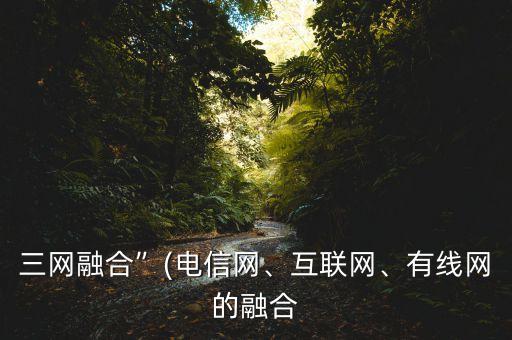 三網(wǎng)融合”(電信網(wǎng)、互聯(lián)網(wǎng)、有線網(wǎng)的融合