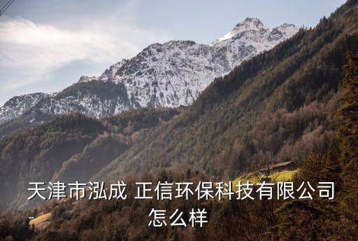  天津市泓成 正信環(huán)?？萍加邢薰驹趺礃? class=