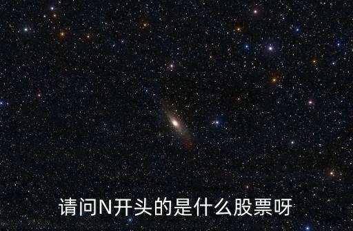 請(qǐng)問(wèn)N開頭的是什么股票呀