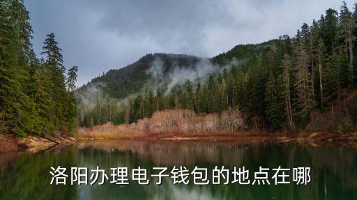  洛陽(yáng)辦理電子錢(qián)包的地點(diǎn)在哪