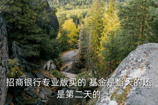招商銀行專(zhuān)業(yè)版買(mǎi)的 基金是當(dāng)天的還是第二天的