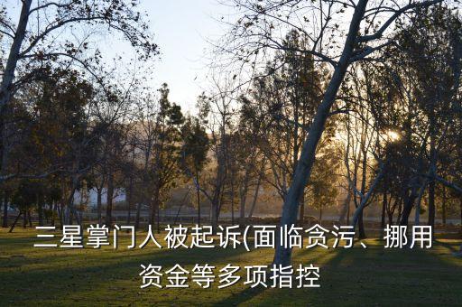  三星掌門人被起訴(面臨貪污、挪用資金等多項指控
