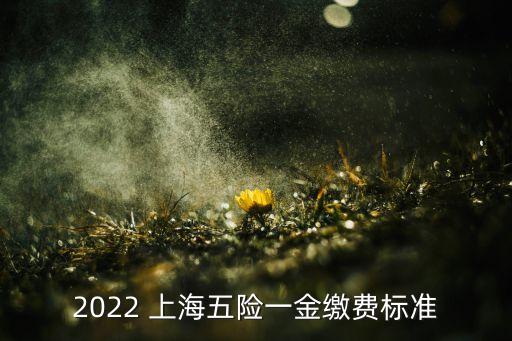 2022 上海五險一金繳費(fèi)標(biāo)準(zhǔn)