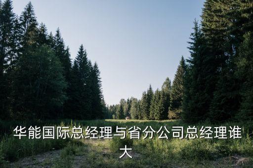  華能?chē)?guó)際總經(jīng)理與省分公司總經(jīng)理誰(shuí)大