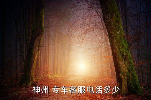  神州 專(zhuān)車(chē)客服電話(huà)多少
