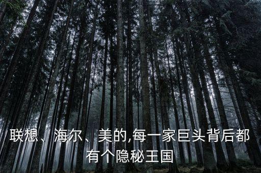 聯(lián)想、海爾、美的,每一家巨頭背后都有個隱秘王國
