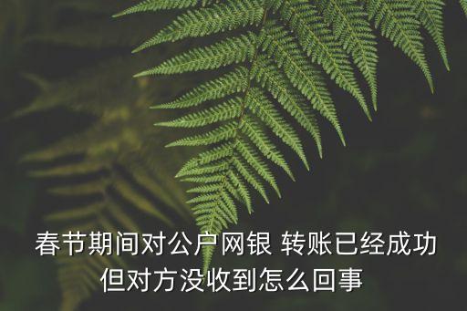  春節(jié)期間對(duì)公戶(hù)網(wǎng)銀 轉(zhuǎn)賬已經(jīng)成功但對(duì)方?jīng)]收到怎么回事