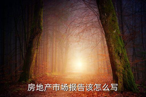 房地產市場報告該怎么寫