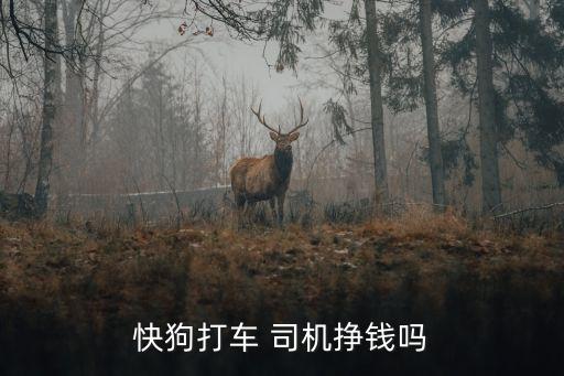 快狗打車(chē) 司機(jī)掙錢(qián)嗎