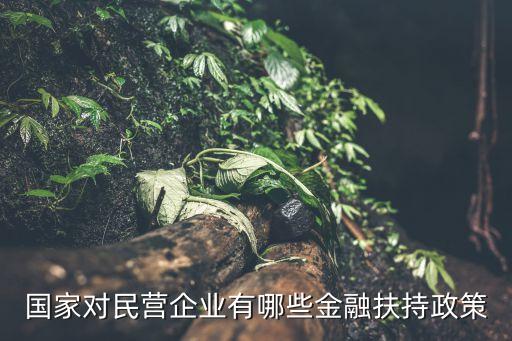 政府性擔(dān)保基金,政府創(chuàng)業(yè)擔(dān)?；鹗菄业膯?/></a></span><span id=