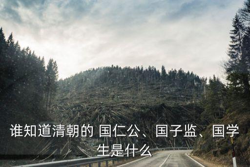 誰知道清朝的 國仁公、國子監(jiān)、國學(xué)生是什么