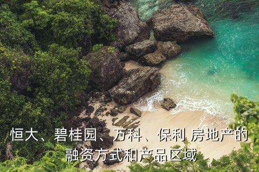 恒大、碧桂園、萬科、保利 房地產(chǎn)的 融資方式和產(chǎn)品區(qū)域