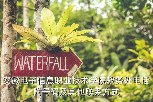 安徽電子信息職業(yè)技術(shù)學院教務(wù)處電話附號碼及其他聯(lián)系方式