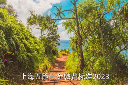  上海五險一金繳費(fèi)標(biāo)準(zhǔn)2023