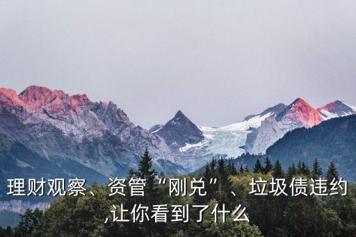 理財(cái)觀察、資管“剛兌”、垃圾債違約,讓你看到了什么