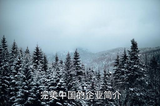  完美中國的企業(yè)簡(jiǎn)介