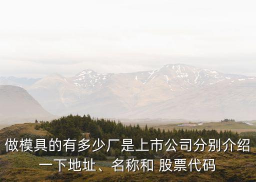 做模具的有多少廠是上市公司分別介紹一下地址、名稱和 股票代碼