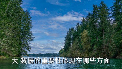 中國大數據強國優(yōu)勢,中國是數據強國嗎