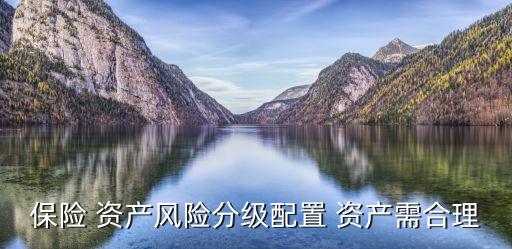 保險 資產風險分級配置 資產需合理