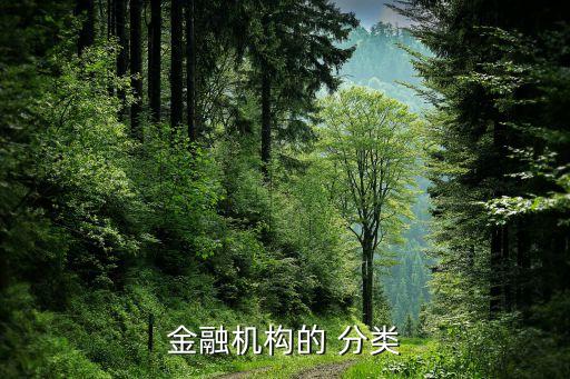 金融機(jī)構(gòu)的 分類(lèi)