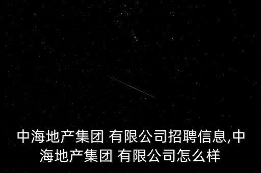 中海地產集團 有限公司招聘信息,中海地產集團 有限公司怎么樣