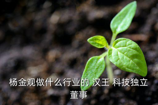 上海漢王科技股份有限公司,漢王科技股份有限公司售后電話(huà)