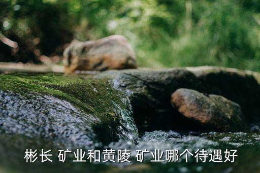 陜西彬長礦業(yè)集團有限公司煤化工公司,2、陜西彬長礦業(yè)集團有限公司