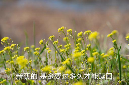 新買的 基金要過(guò)多久才能贖回