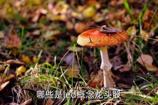 有關光電的股票,聯(lián)合光電股票股吧