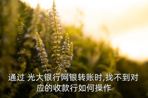 通過 光大銀行網(wǎng)銀轉(zhuǎn)賬時(shí),找不到對(duì)應(yīng)的收款行如何操作