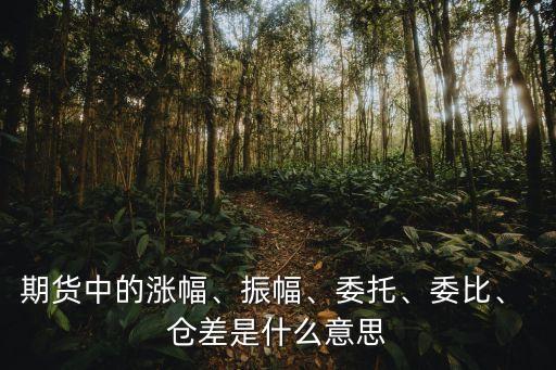 期貨中的漲幅、振幅、委托、委比、 倉差是什么意思