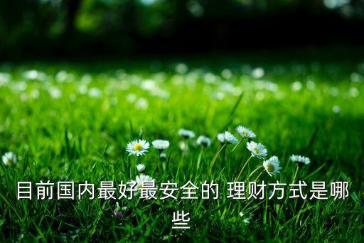 目前國內(nèi)最好最安全的 理財(cái)方式是哪些