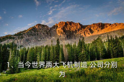 1、當(dāng)今世界兩大飛機(jī)制造 公司分別為