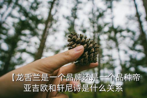 【龍舌蘭是一個品牌還是一個品種帝 亞吉?dú)W和軒尼詩是什么關(guān)系