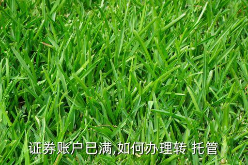證券賬戶(hù)已滿(mǎn),如何辦理轉(zhuǎn) 托管