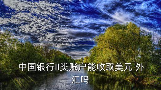  中國(guó)銀行II類(lèi)賬戶能收取美元 外匯嗎
