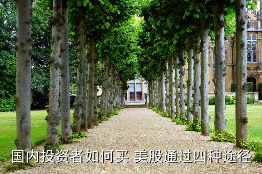 國(guó)內(nèi)投資者如何買(mǎi) 美股通過(guò)四種途徑
