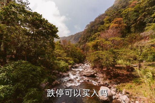 跌?？梢再I入嗎