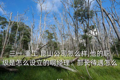 三一 重工 昆山公司怎么樣,他的職級是怎么設立的啊經(jīng)理、部長待遇怎么...