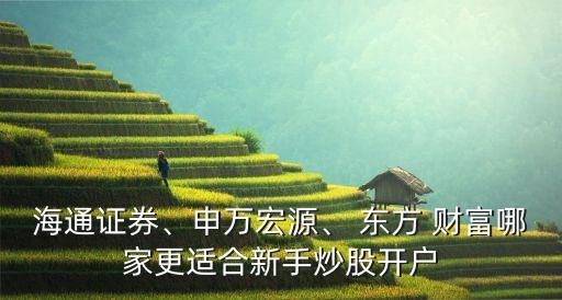 海通證券、申萬宏源、 東方 財富哪家更適合新手炒股開戶