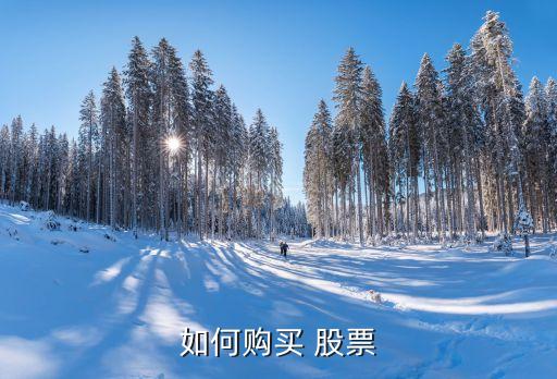 如何購(gòu)買(mǎi) 股票