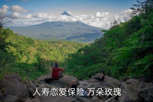 人壽戀愛保險(xiǎn) 萬(wàn)朵玫瑰